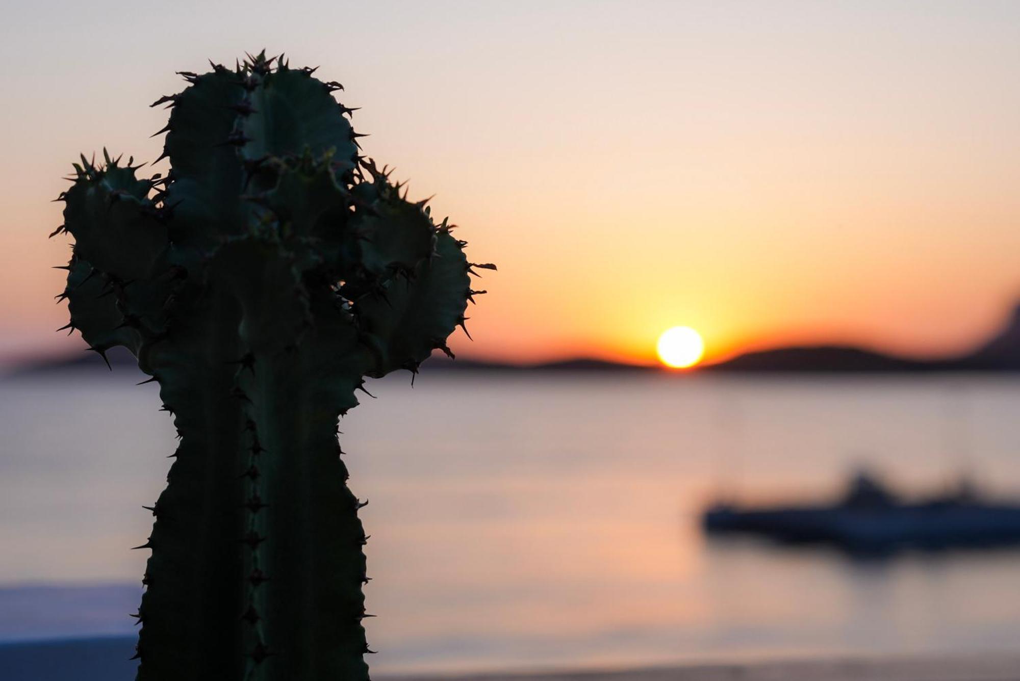 Spongia Hotel Suites & Spa Myrties Dış mekan fotoğraf
